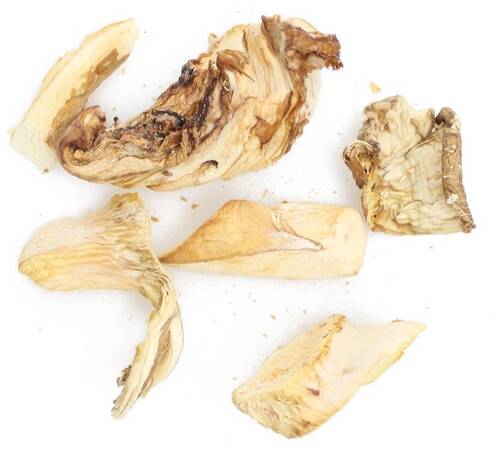 Boczniaki suszone krojone 50 g Planteon - grzyby
